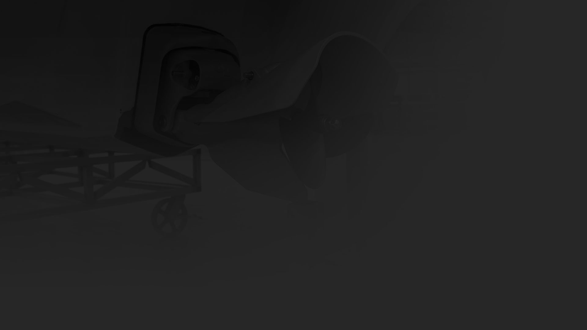 about logo 02 bg